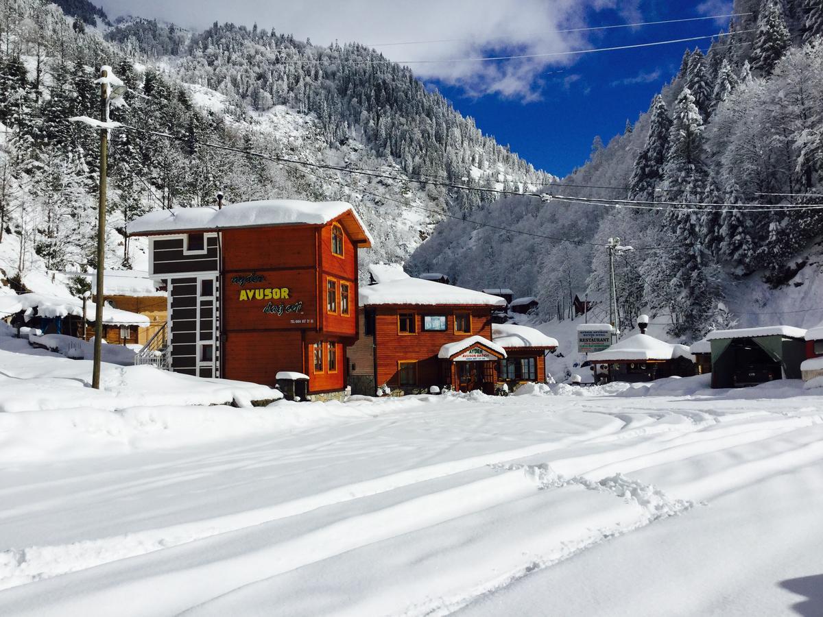 Ayder Avusor Hotel Екстериор снимка